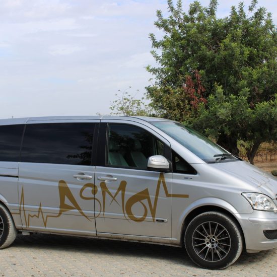 asmo-transfers-tours-company